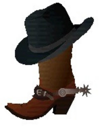 Startseite Country Line Dance