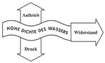 Aquafitness Basiswissen